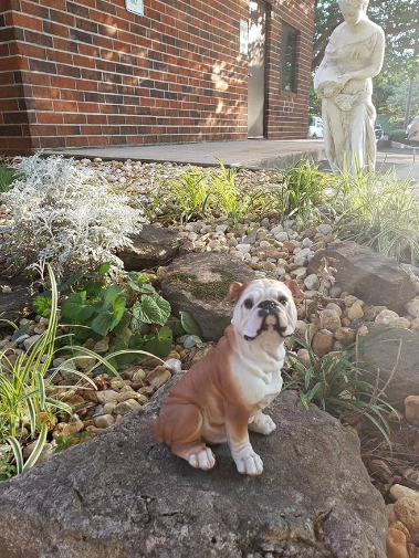 Sitting Bulldog Puppy Figurine